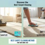 Best Carpet Cleaning Method